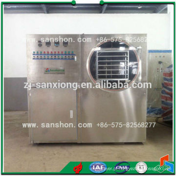 China FDG Tipo Vacuum Mini Freeze Dryer